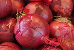 免费ddos在线攻击测试网站