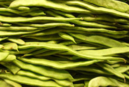 谁能推荐下的网站攻击防护