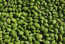 极速响应便捷的网站攻击防护