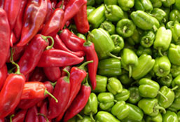 免费ddos在线攻击测试网站